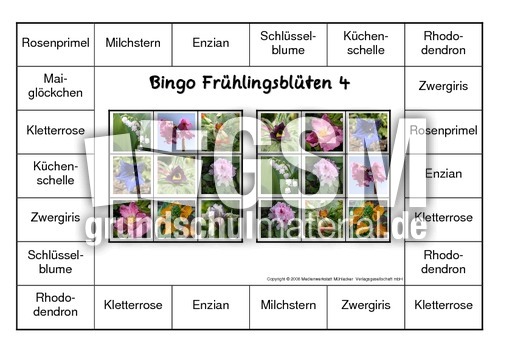 Bingo-Frühlingsblüten-4.pdf